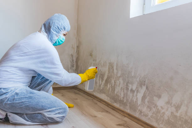 Mold Remediation specialist working in Plainview